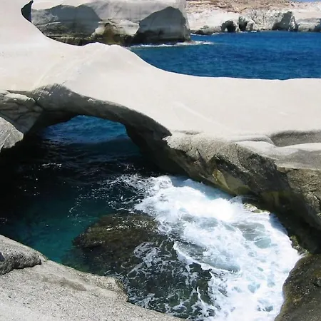 Blueberry Naxos City