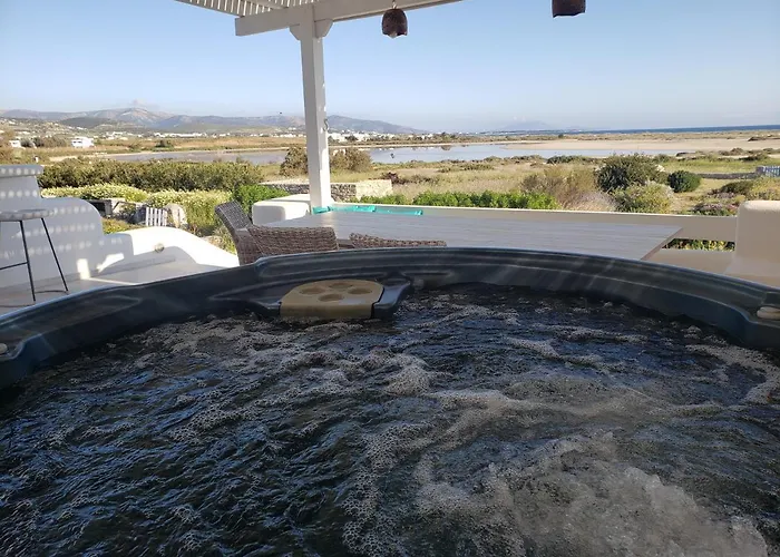 Blueberry * Mikrí Vígla